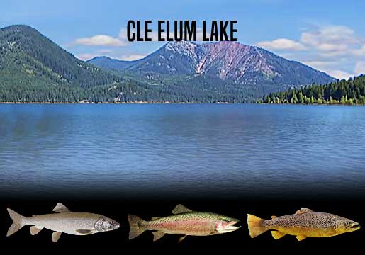 Fishing Report Cle Elum Lake, WA