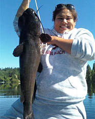 Washington Catfish