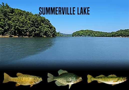 Fishing Summerville Lake, WV